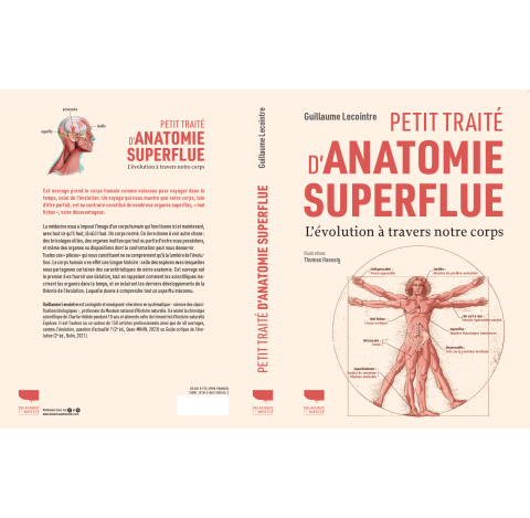 petit traité d'anatomie superflue