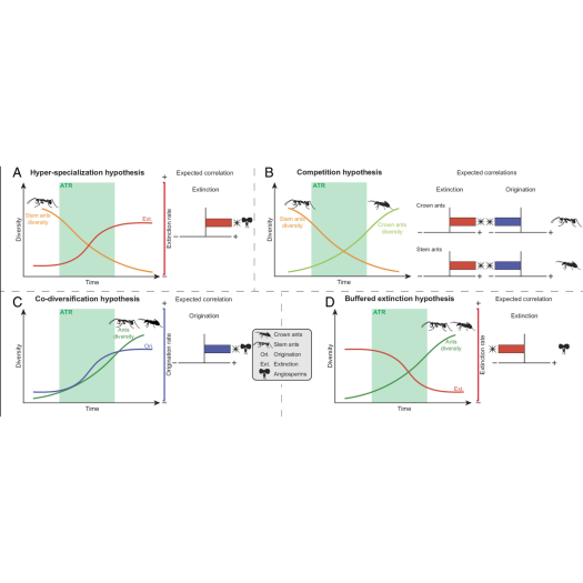 Jouault, C.et al. in PNAS 121(13)
