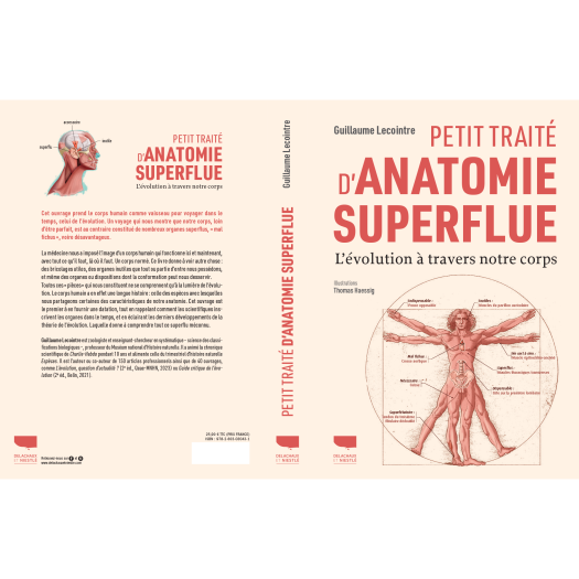 petit traité d'anatomie superflue