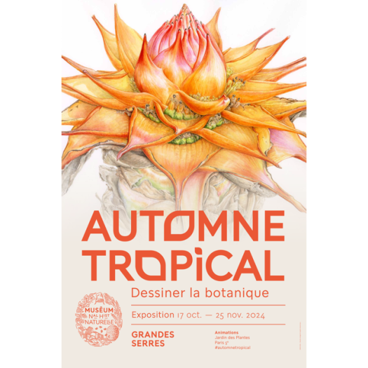 Affiche Automne Tropical 2024