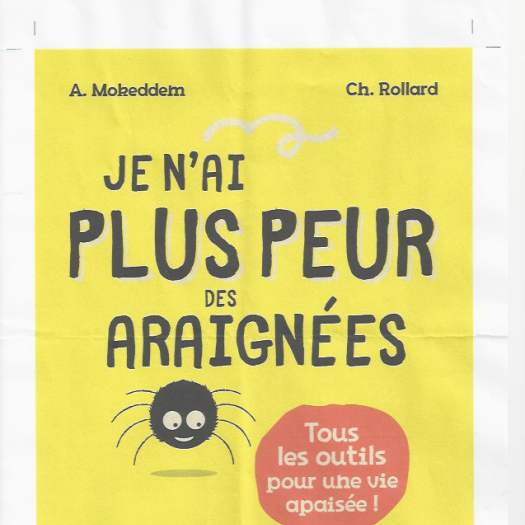 Je n'ai plus peur des araignées
