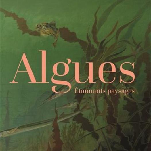 ALGUES, étonnants paysages