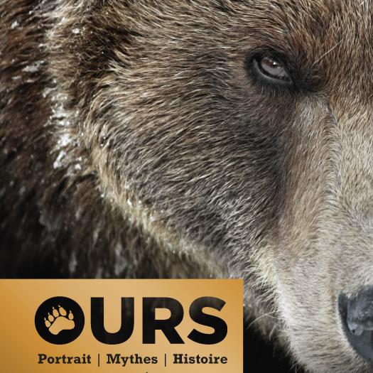 Ours, Portrait, Mythes, Histoire