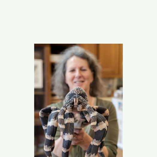 Christine Rollard et l' Araignée