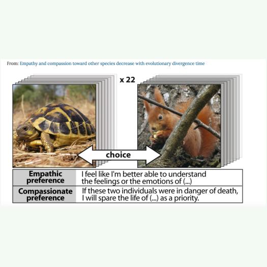 Empathy and compassion toward other species decrease with evolutionary divergence time