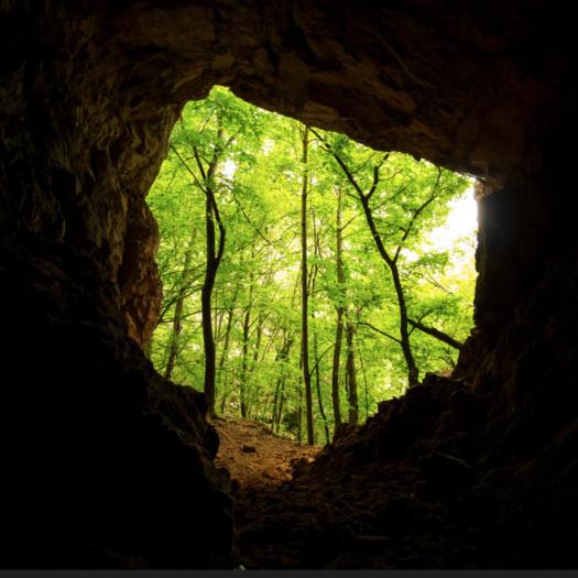 L'origine du virus est encore trouble : une grotte, la forêt