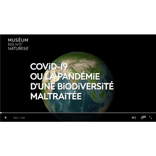 Covid-19 ou la pandémie d’une biodiversité maltraitée