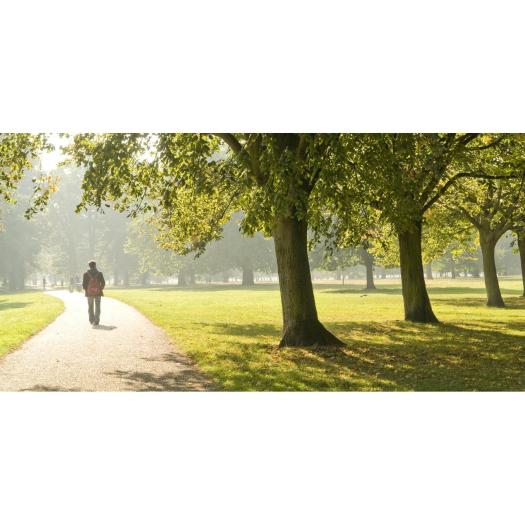Parc