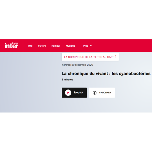 La chronique du vivant de Marc-André Selosse