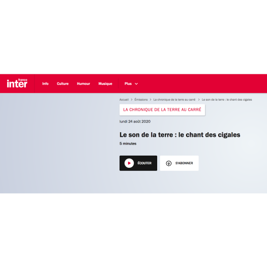 Le son de la terre 