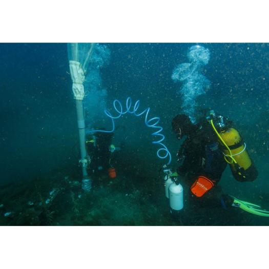 L’utilisation d’aspirateurs sous-marins permet de prélever des organismes de petites tailles tels que des mollusques et des crustacées