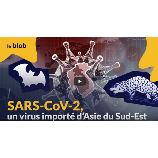 SARS-CoV-2, un virus importé d’Asie du Sud-Est | Interview