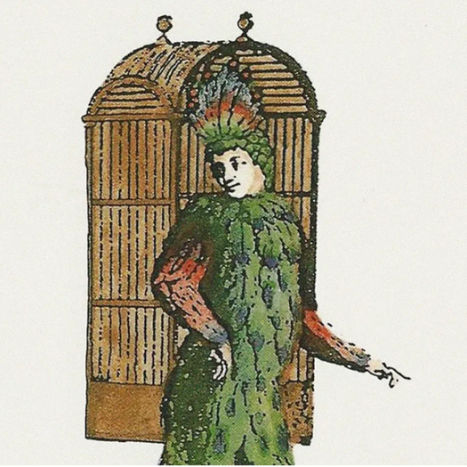  papageno et papagena chez les animaux.....