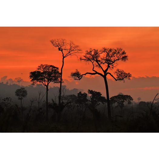 En août 2020, dans l’État de Para au Brésil, coucher de soleil sur fond de fumées provenant d’incendies illégaux.