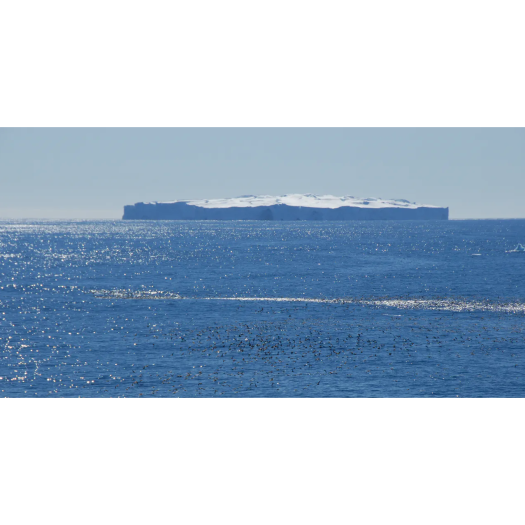 Un grand iceberg tabulaire au large de la Terre Adélie