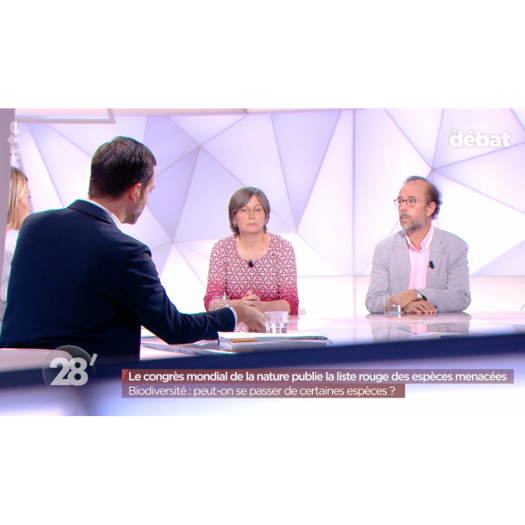 Le 28 minutes d'ARTE avec Philippe Grandcolas et Valérie Chansigaud