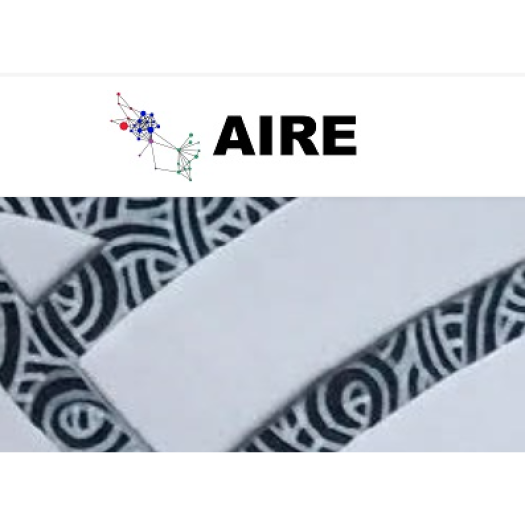 TEAM AIRE
