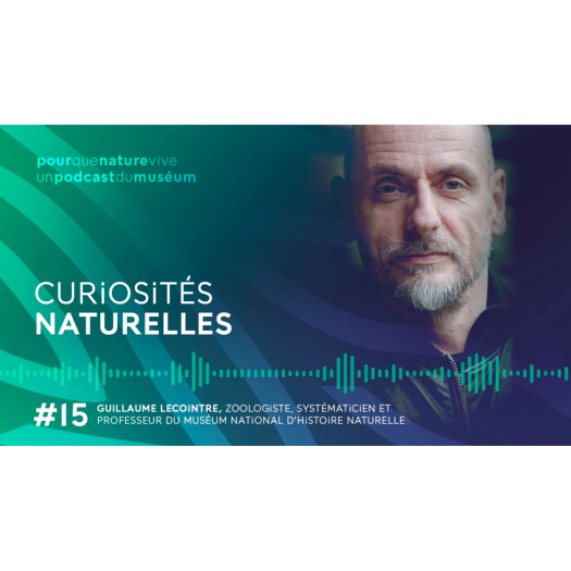 Guillaume-lecointre - Curiosites-naturelles - Podcast