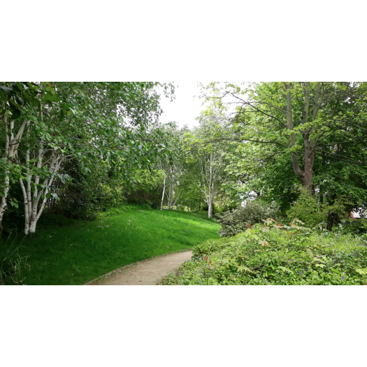 De quoi se compose exactement la « forêt urbaine » ?