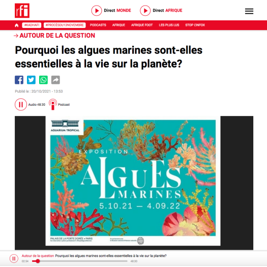 LIne Le Gall interview sur RFI
