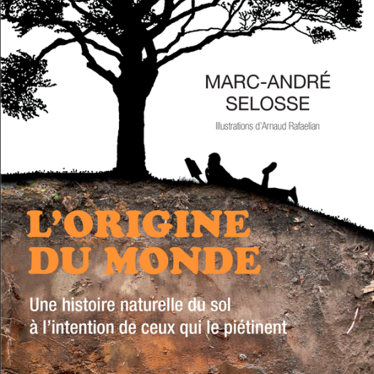 L'origine du monde