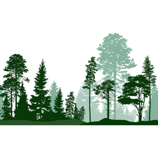 Comment toutes les espèces d'arbres ont-elles pu voir le jour ? Potapov Alexander/Shutterstock