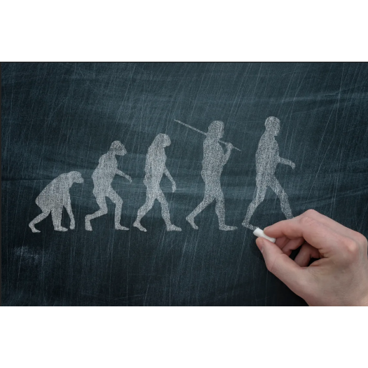 représentation en morphing de l'évolution biologique, une représentation qui participe aux idées reçues sur l'évolution