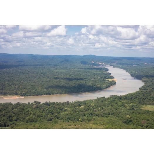 La forêt guyanaise vue de Maripasoula 