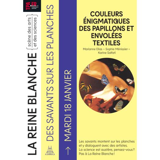 Couleur enigmatique des papillons, envolées textiles