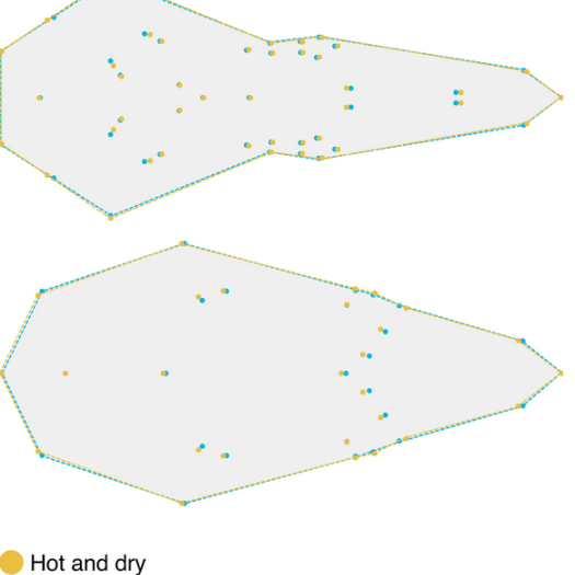 Skull morphological evolution in Malagasy endemic Nesomyinae rodents