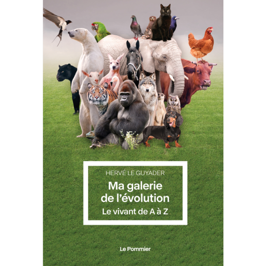 Ma galerie de l'évolution