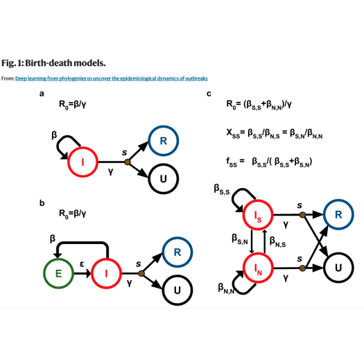 Fig. 1: Birth-death models.