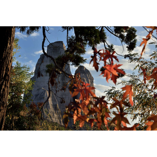 Les rendez-vous sauvages de l'automne au PZP