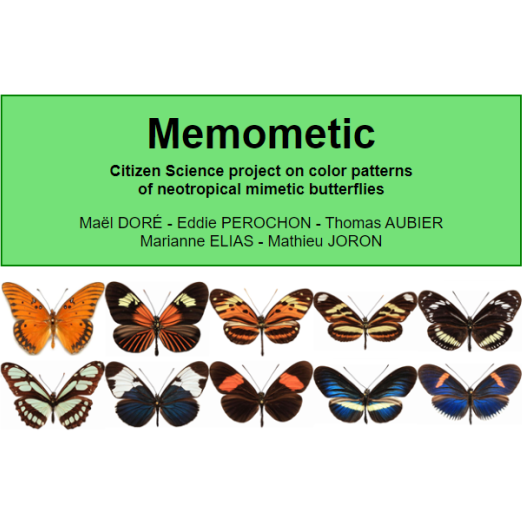 MEMOMETIC SONDAGE