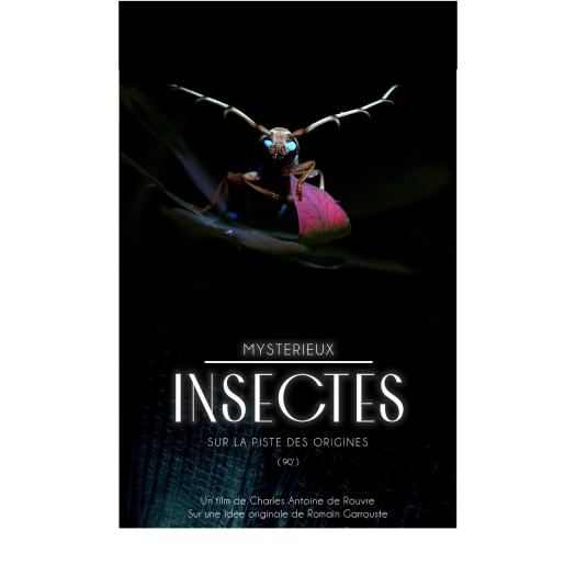 Mystérieux insectes, sur la piste des origines