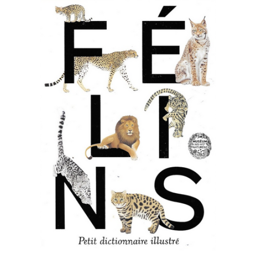 Félins Petit dictionnaire illustré