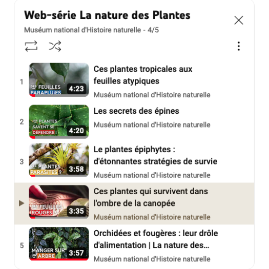 WEB SERIE LA NATURE DES PLANTES