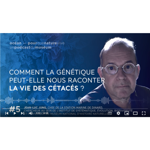 Comment la génétique peut-elle nous raconter la vie des cétacés ? - Pour que nature vive