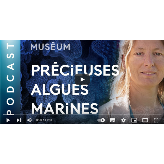 LIne le Gall precieuses algues marines pour que nature vive