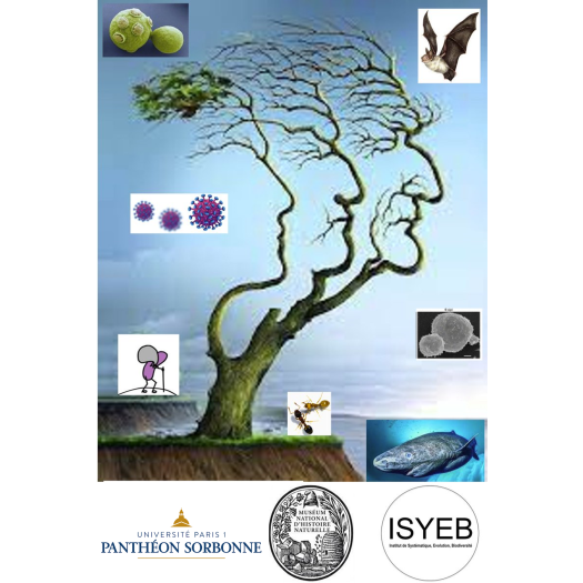 Colloquium “Expanding evolutionary theories of ageing to take into account symbioses and interactions throughout the Web of Life”. 2nd edition 