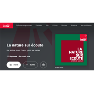 la nature sur ecoute - la chronique de Jerome sueur sur France Inter