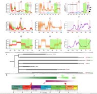 visuel article Boderau, nel et Jouault