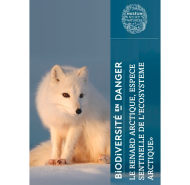 BIODIVERSITE EN DANGER - le renard arctique