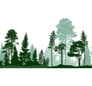Comment toutes les espèces d'arbres ont-elles pu voir le jour ? Potapov Alexander/Shutterstock