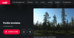 forets boreales chronique J. Sueur la nature sur écoute