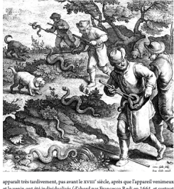 extrait les animaux venimeux 