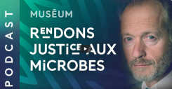 Les microbes sont nos meilleurs amis - MA SELOSSE