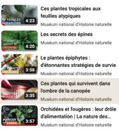 LA NATURE DES PLANTES (SERIE DE PODCASTS)
