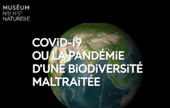 Covid-19 ou la pandémie d'une biodiversité maltraitée