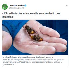 L’Académie des sciences et le sombre destin des insectes »